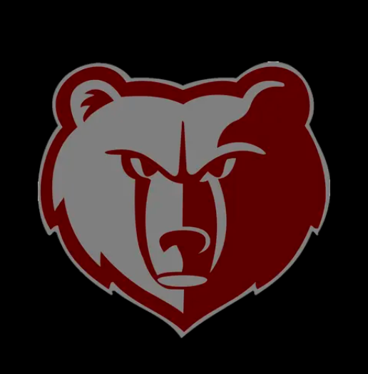 Rhinestone Bruin Head Spirit Gear